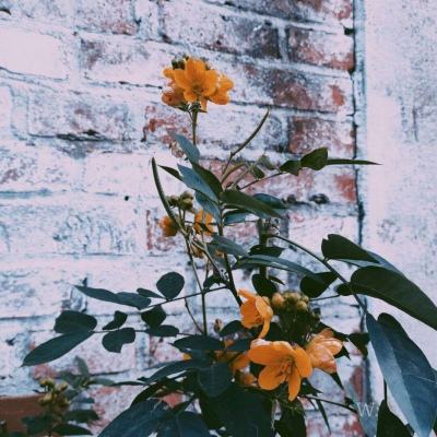 星空体育app下载app下载